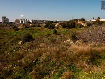 Attraverso un sentiero naturale scendiamo velocemente al suo interno, completamente circondati da una folta macchia mediterranea